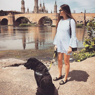 Jon Josef 1811824197318255294