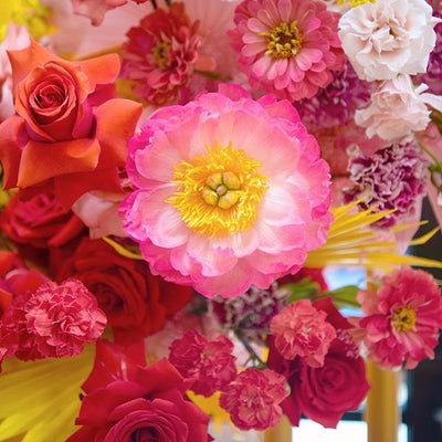 Jon Josef 2130643273451007238