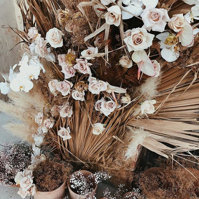 Jon Josef 2157512648059677220